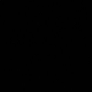 Meet your Posher, Jackson